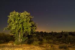 Paisajes Nocturnos