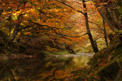 Paisajes Diurnos